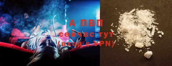 apvp Бородино