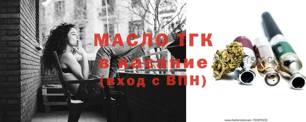 apvp Бородино