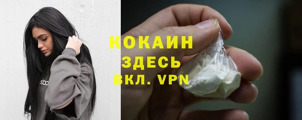 apvp Бородино