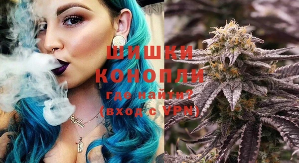 apvp Бородино