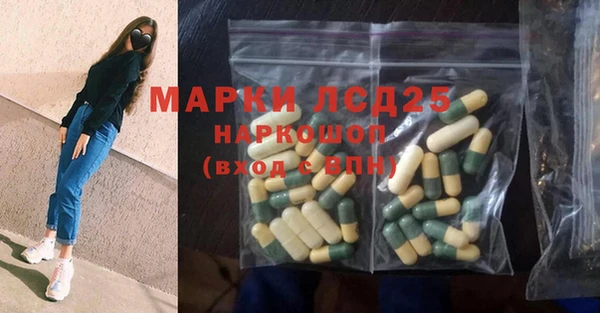 apvp Бородино
