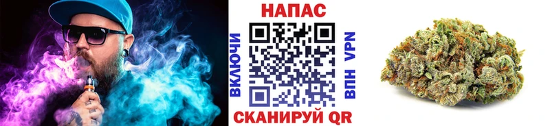 Конопля Ganja  Купить закладки  Пустошка 